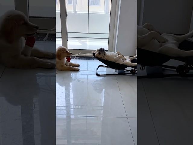 When you find the perfect napping station… 