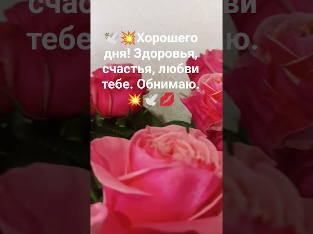 Природа с любовью и нежностью в каждый дом 
