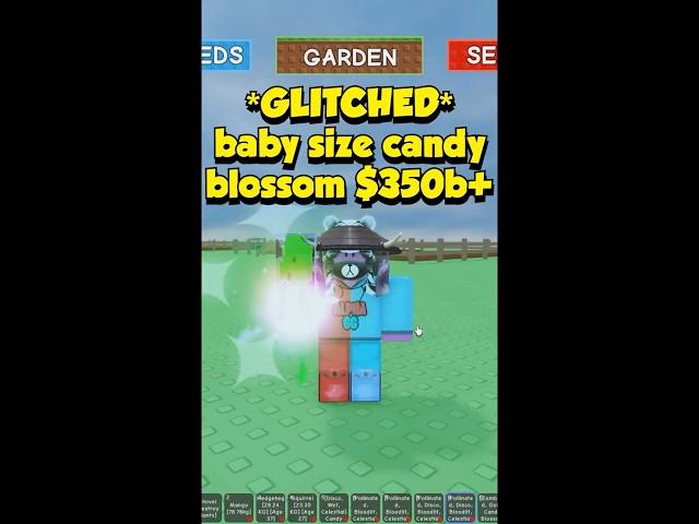 *GLITCHED* BABY SIZE CANDY BLOSSOM - Grow a Garden Roblox