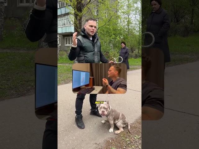 Что делать если собака кусается за руки? Прыгает? Воспринимает все как игру? Гиперактивная??