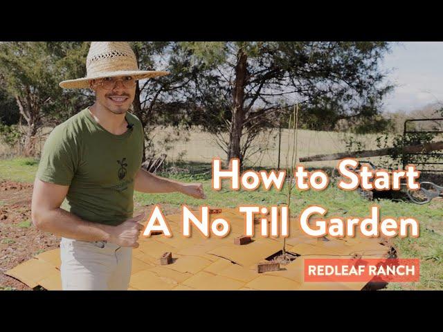 No-Till Gardening Tutorial for Beginners: Easy Way to Start A Vegetable Garden