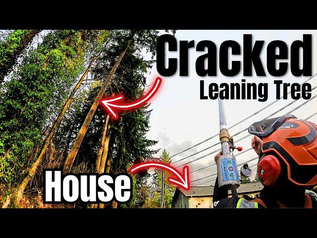 Deadly Cracked Tree Threatens Home | Remove it NOW!