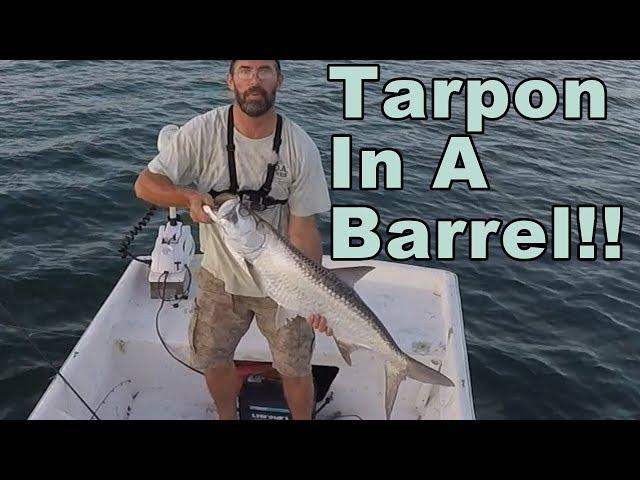 EPIC INSHORE TARPON FISHING! (On Artificial)