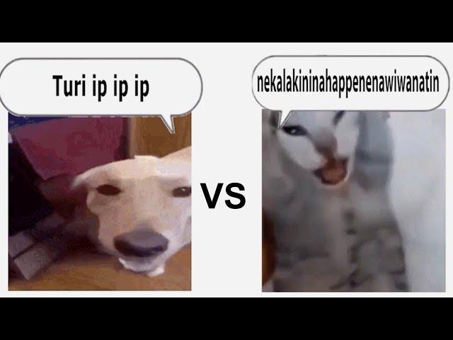 turi ip ip ip vs nekalakininahappenenawiwanatin (Epic Rap Battle)