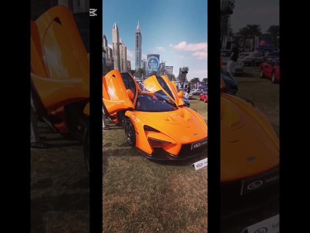 muly most rare car spotings part 2 #automobile #senna