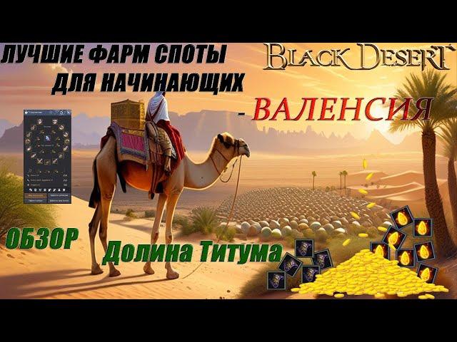 2024 БДО - Лучшие места  фарма для начинающих (Black Desert Online) - ВАЛЕНСИЯ - ДОЛИНА ТИТУМА