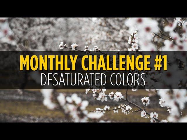 Desaturated Colors Photo Challenge