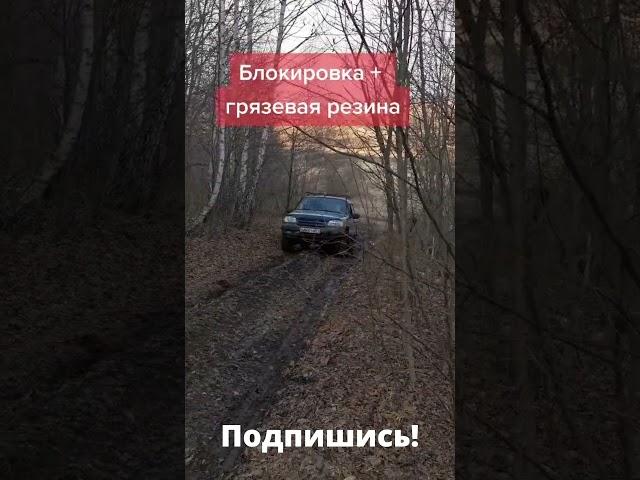 Шевроле Нива на блокировке