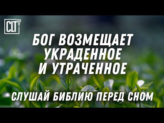 Ты будешь, как напоенный водою сад и как источник, воды которого  не иссякают #Библия #relaxing