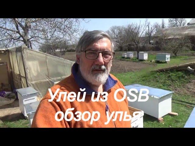 Улей  из OSB своими руками, Обзор 20-ти рамочного улья из OSB