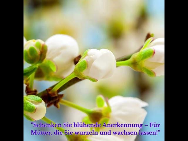 Ihr Dienstleistungszentrum für nachhaltigen Gartenbau und Gartenpflege #garden_holding #zug