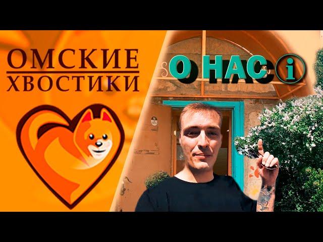 Собаки и кошки приюта для животных | Вся правда про Омские Хвостики