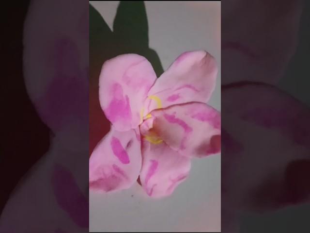 Pink colour flower||katgolap #pink #flowers #clayartidea #clayflowerart #clayartidea #viralshort