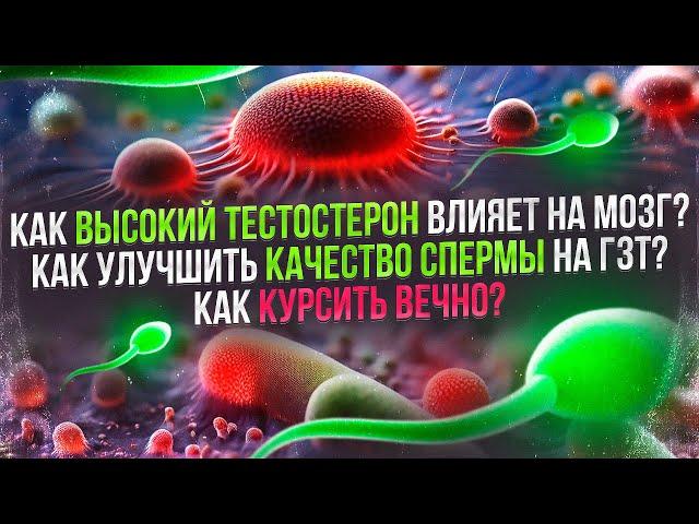 Как высокий тестостерон влияет на мозг? Как улучшить качество спермы? Как курсить вечно?