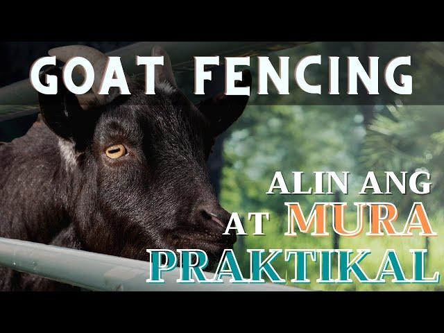 GOAT FENCING: Alin ang MURA at PRAKTIKAL?