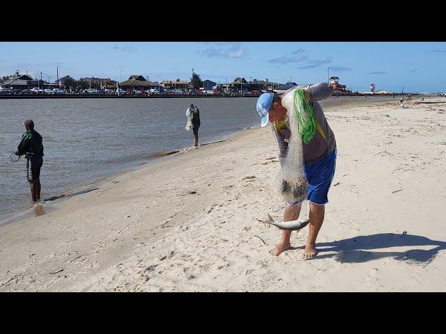 Pescas de tarrafas, 04-10-24, Barra de Tramandaí, com botos e peixes, além de tempo bom. #netfishing