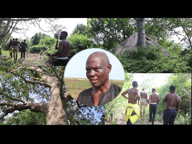 THE BIGGEST AND MYSTERIOUS FOREST IN THE VOLTA REGION OF GHANA.