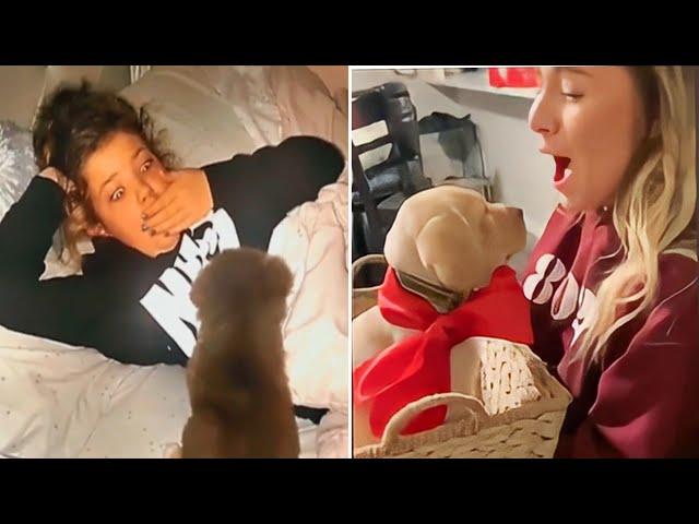 New Puppy Surprise Compilation 2023 | Wholesome Surprise Moments