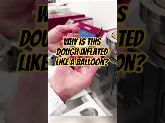 This Bubble Reveals the Secret Behind Perfect Pizza Dough!