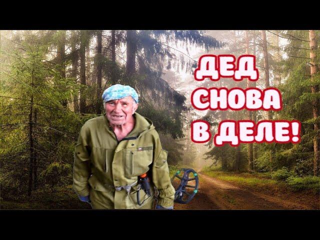 ДЕД В ДЕЛЕ! КОПАЕМ ГДЕ НЕ СТУПАЛА НОГА ЧЕЛОВЕКА!