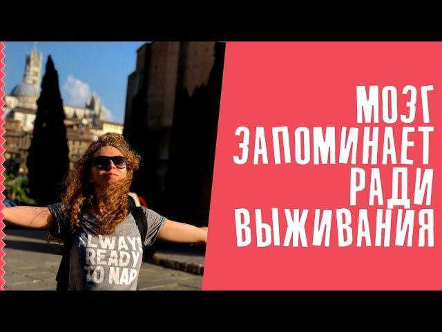 Выживание и память: как мы запоминаем? | Елена Кундера