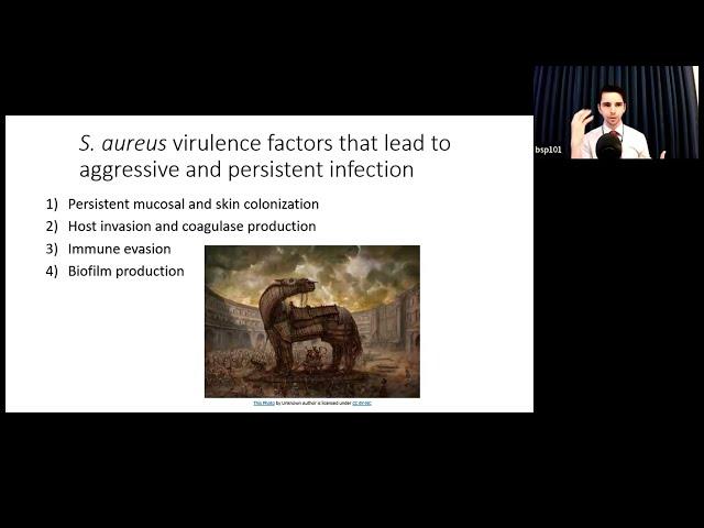 Staphylococcus Aureus Bacteremia: Pitfalls and Advances in Care