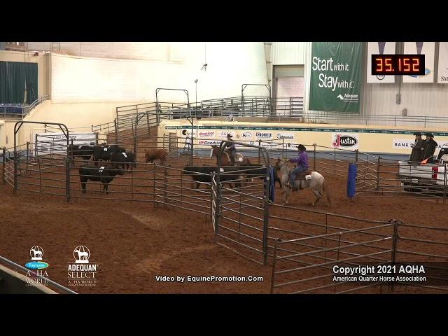 2021 AQHA Ranch Sorting