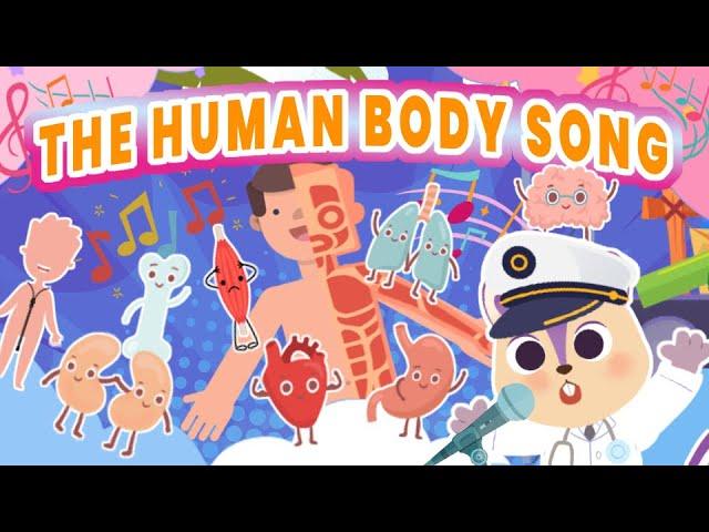 🫀 Human Body Song for kids | Easy way to learn about the Organs | Brain, Heart, Lungs, Kidneys 