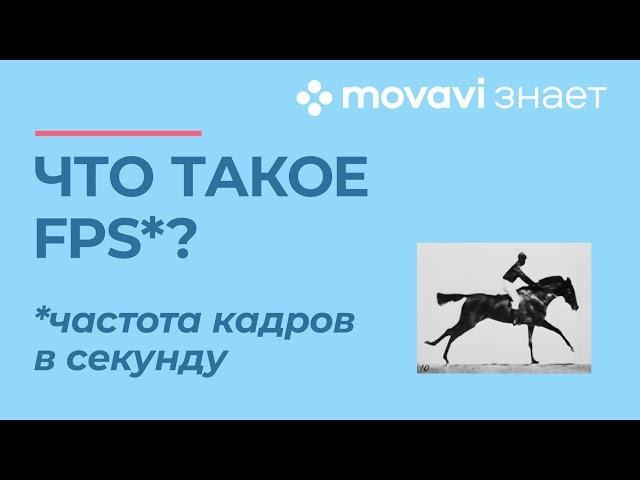 Что такое FPS - частота кадров в секунду?  | MOVAVI ЗНАЕТ