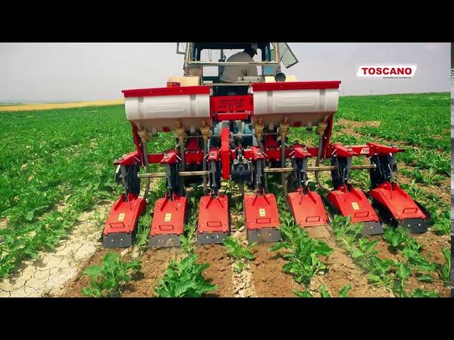 TOSCANO Frezeli Ara Sıra Çapa Makinası, Standart Inter-row Rotary Cultivator