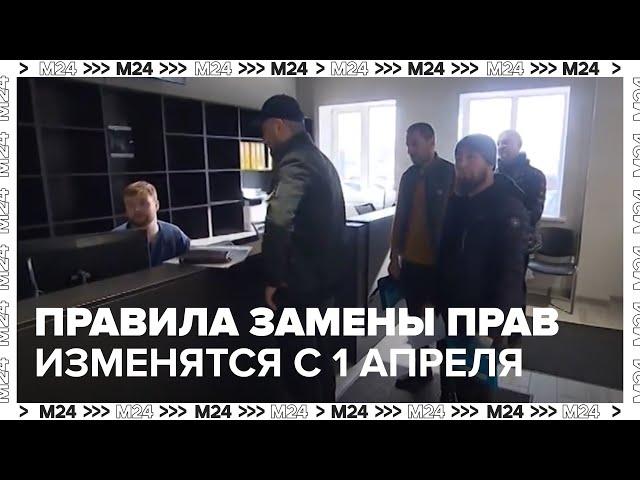 Правила замены водительских прав изменятся с 1 апреля — Москва 24
