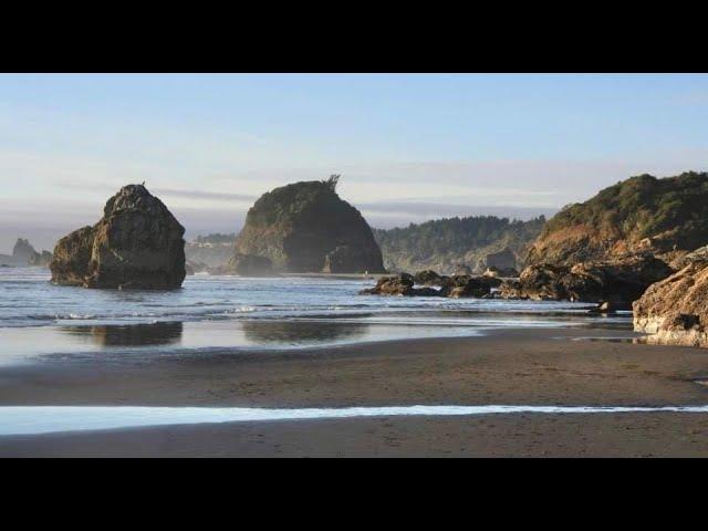 Incredible Moonstone Beach By Little River In Trinidad, California