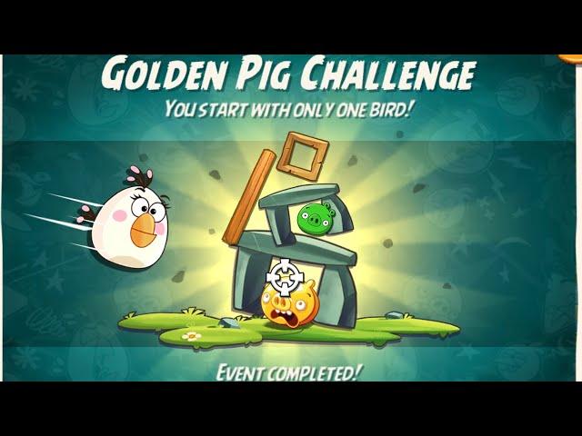 Angry Birds 2 AB2 Golden Pig Challenge - 2024/11/17