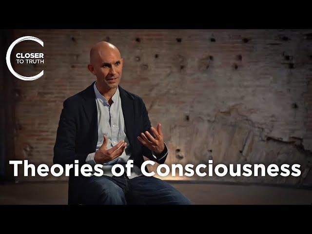 Anil Seth - Theories of Consciousness