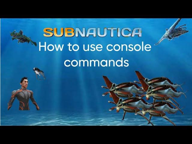 How to use console commands in subnautica