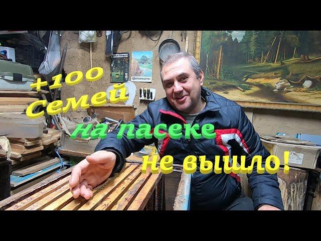  +100 СЕМЕЙ на пасеке НЕ ВЫШЛО! Кочевка в лес 2024 итоги! #пчеловодство1