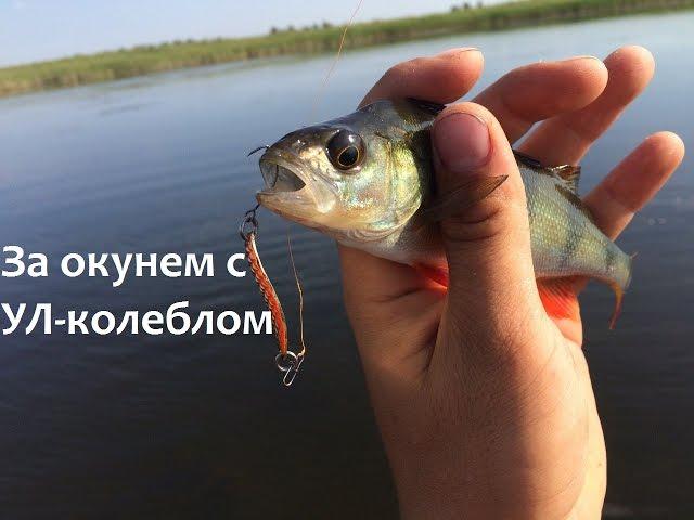 Ловля окуня с УЛ колебалками