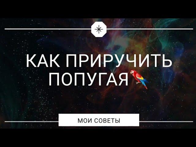 Как приручить Какарика? СОВЕТ