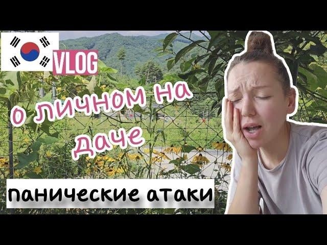 О личном на даче / KOREA VLOG