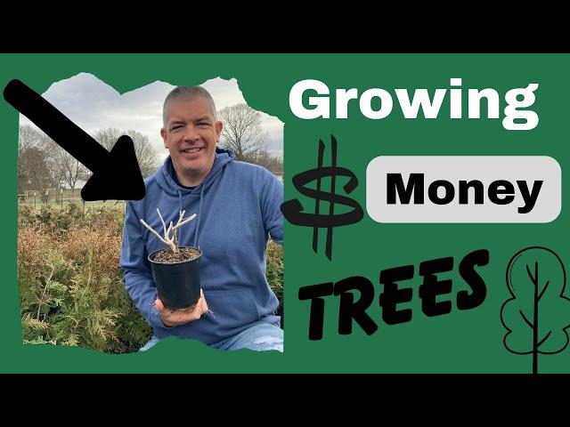 Making Money With Plants - Preparing plants for Spring sales