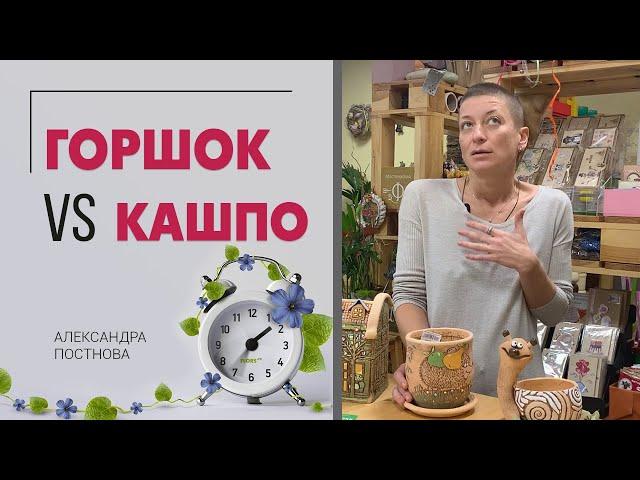 Горшок или кашпо - что выбрать? Разница, недостатки и плюсы каждого из них. Сравниваем и выбираем.