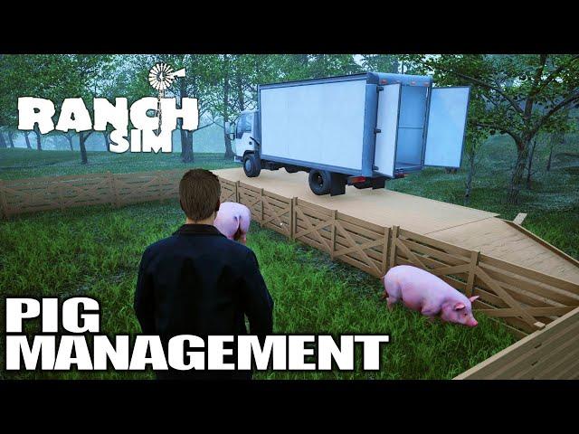 Pig Management Made Easy | Ranch Simulator Gameplay | E11