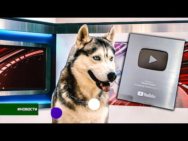 DOGVLOG: ХАСКИ НА ТВ. СЕРЕБРЯНАЯ КНОПКА. Говорящая собака