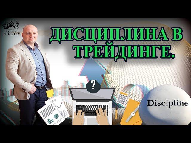 Александр Пурнов о дисциплине в трейдинге. Как влияет дисциплина на прибыль трейдера