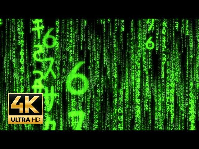 The Matrix Raining Green Code Backdrop for OBS - Teams, Zoom calls in 4k - link to 45mins ver below