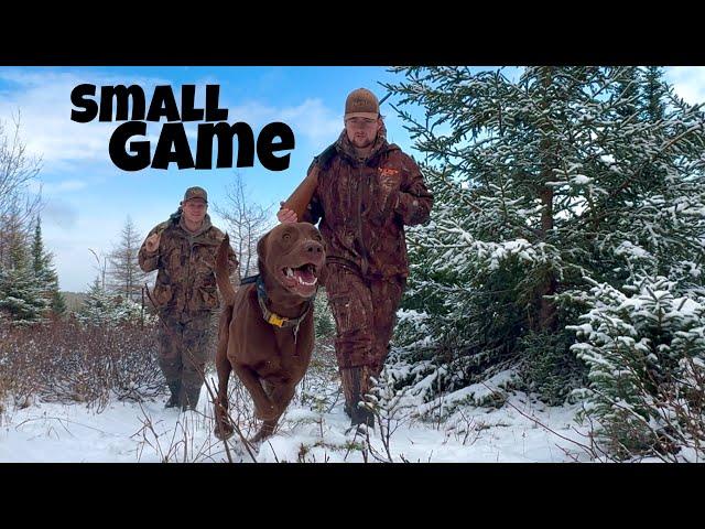 Small Game Hunting with a .410 Shotgun in the Snow ! - Catch & Cook ( COQ AU VIN recipe !)