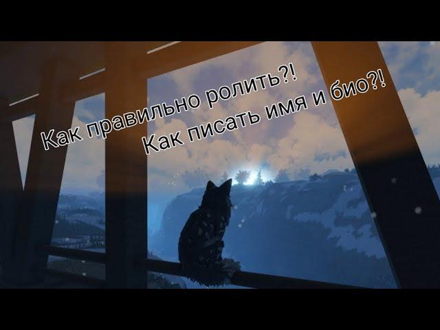 -Как правильно ролить и писать имя с био в Warrior cats: Ultimate Edition?! (коты-воители роблокс).