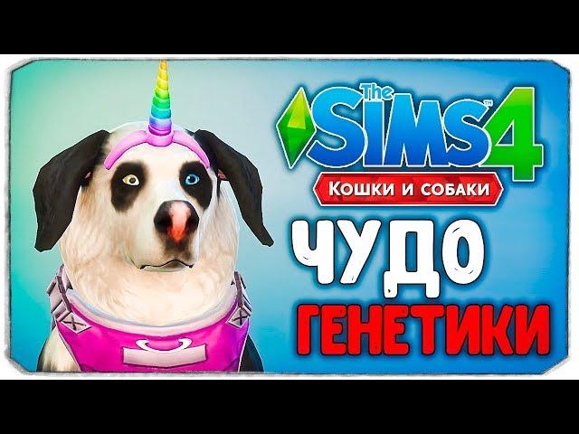 ЧУДО ГЕНЕТИКИ, СОБАКИ - The Sims 4 "Кошки и Собаки"