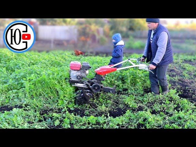 How does a LIGHTWEIGHT CULTIVATED TILLER mill mustard???