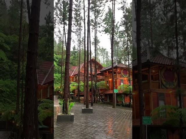 Pemandian air panas | Guci Forest Tegal #guci #tegal #airpanas